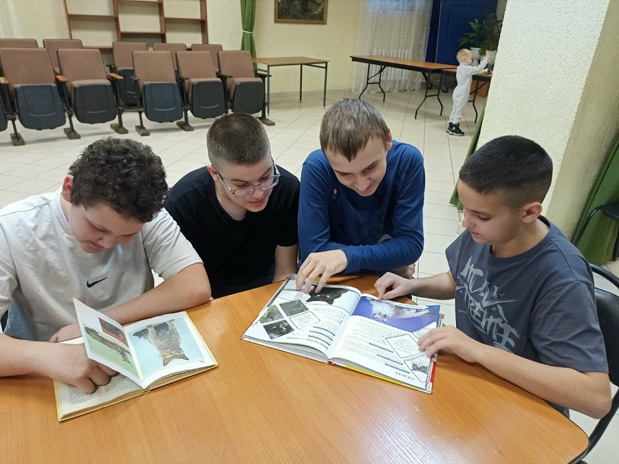 Всемирный день кошек
