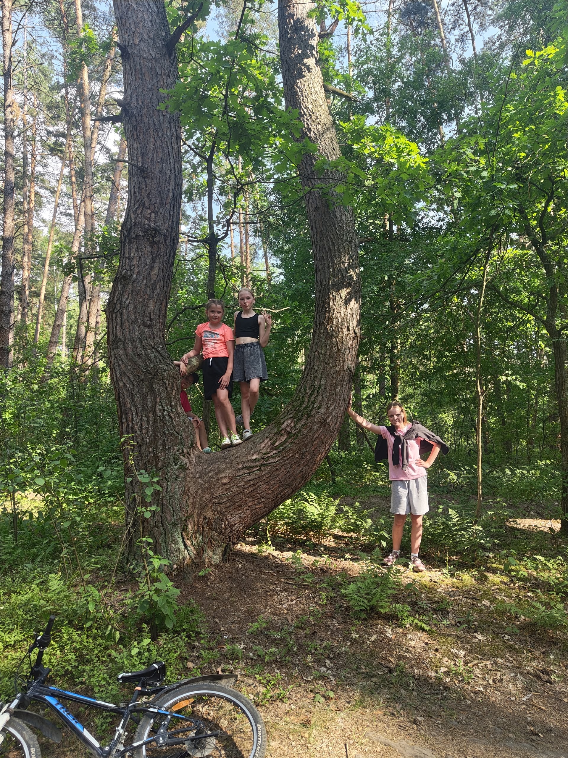 ДЕНЬ РОССИИ