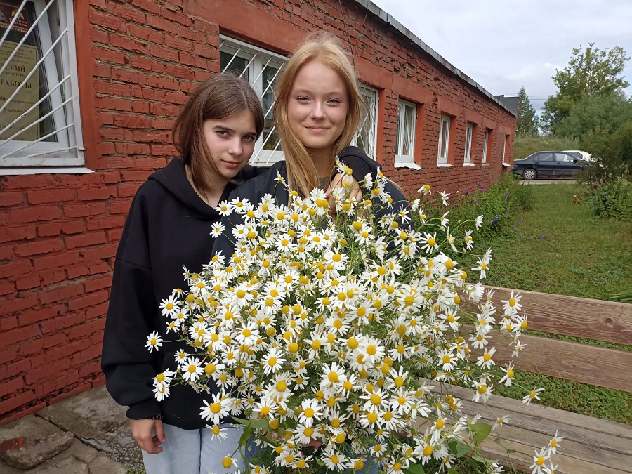 Погадаем на ромашке